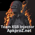 Team XSB Injector